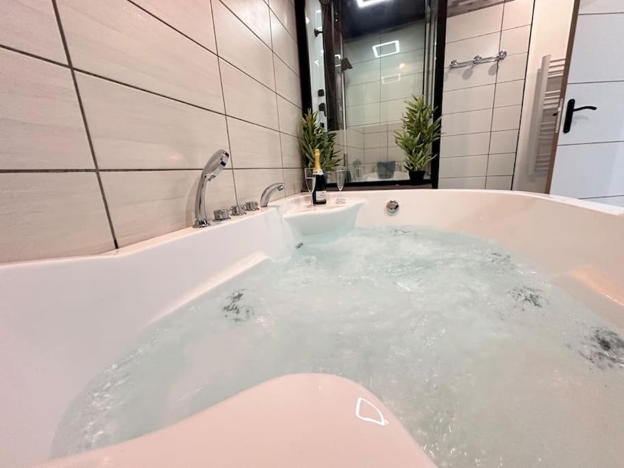 E Servagnat T3 Luxe Avec Sauna Jacuzzi Et Hammam Épernay Kültér fotó